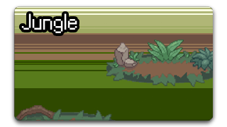 Jungle