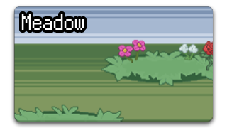 Meadow