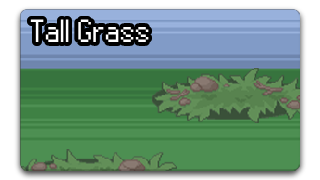Tall Grass